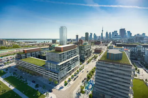 Canary Commons Presale