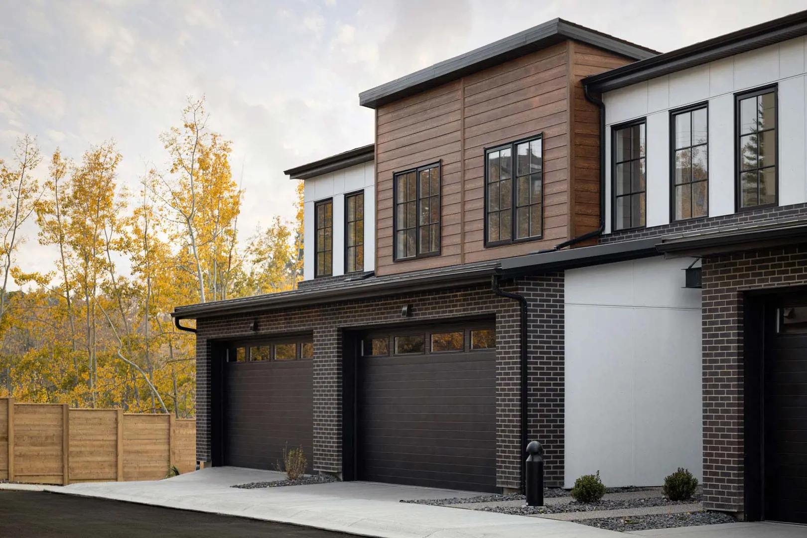 Arcola in Spring Willow