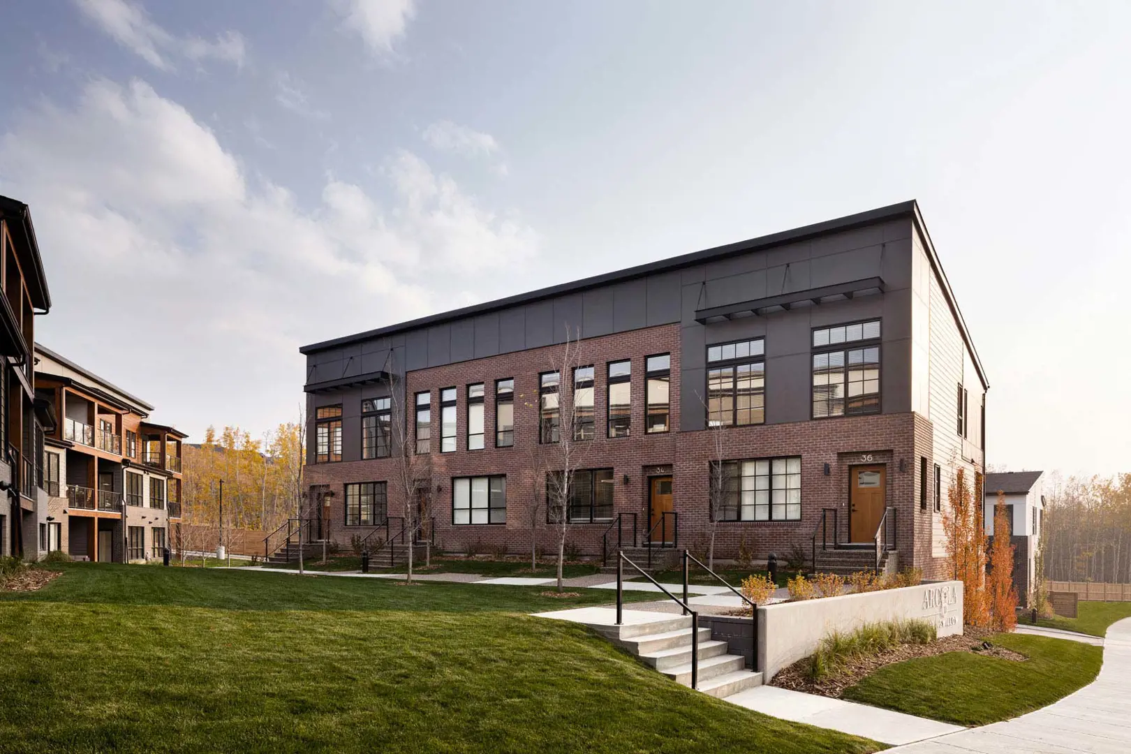 Arcola in Spring Willow