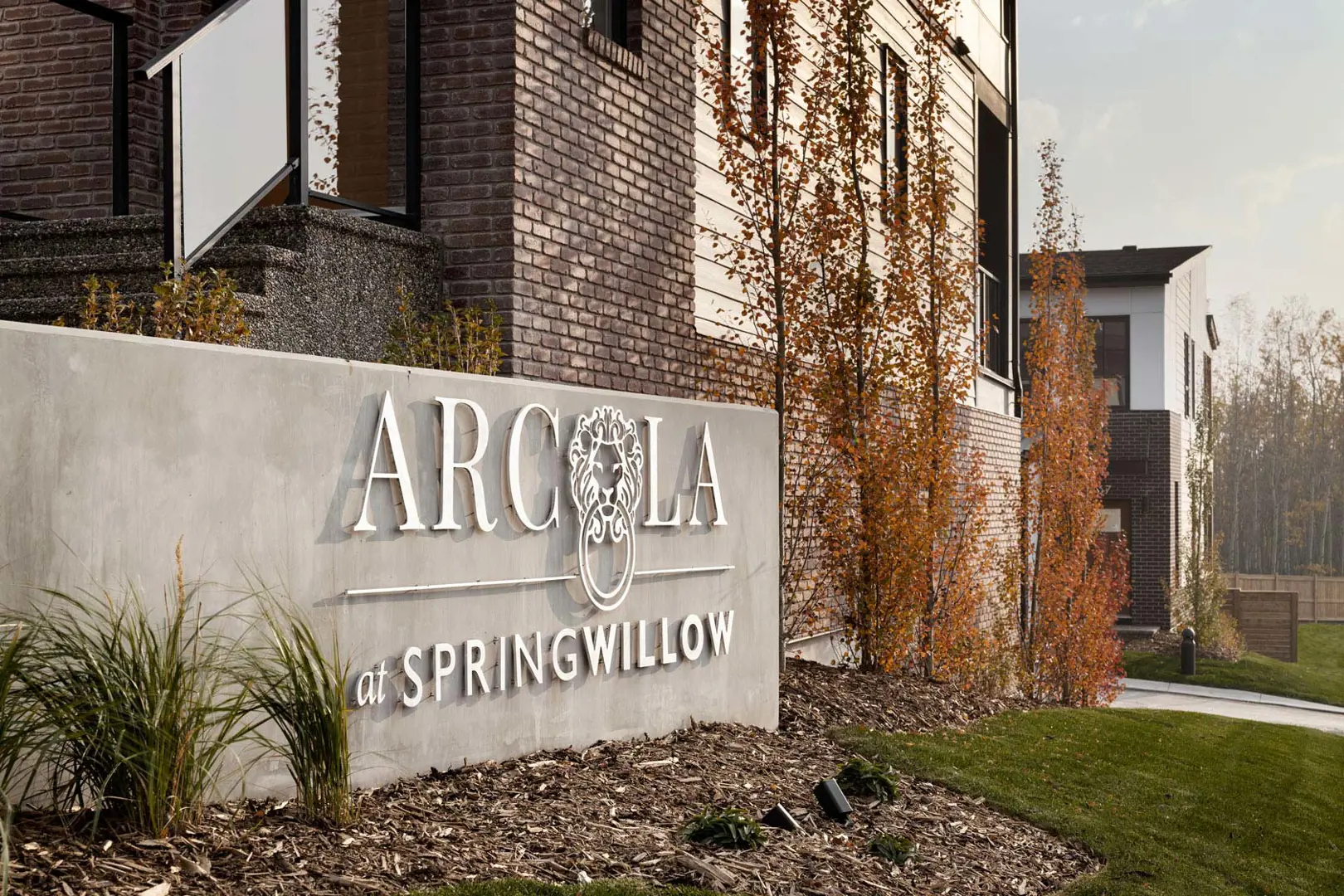 Arcola in Spring Willow